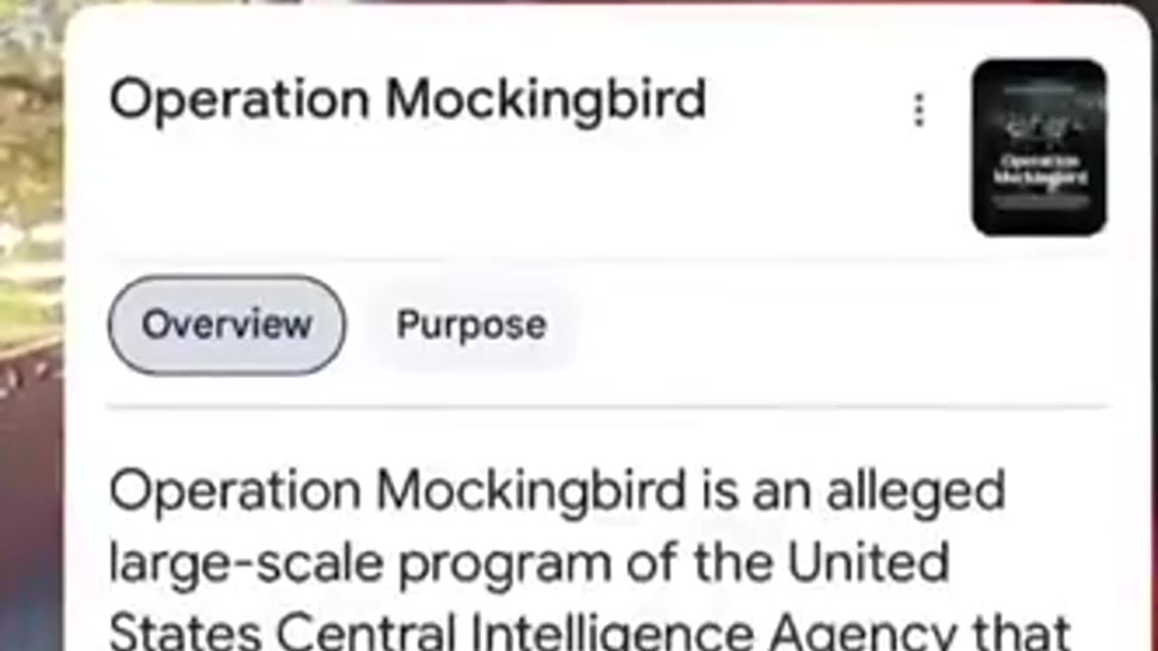 TALK ABOUT MOCKING BIRD AND MLK...DEEPSTATE CONTROLLED MINDS..