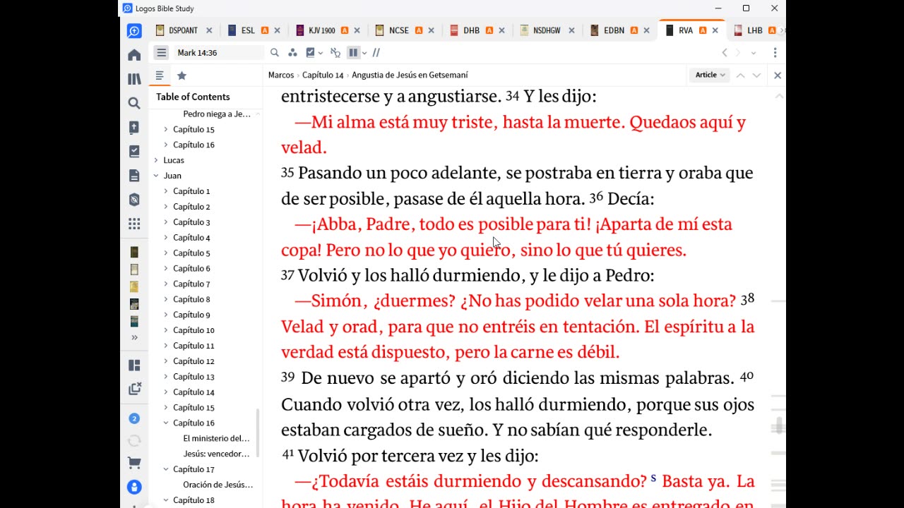 ¿A quién buscáis? Inteligencia Artificial?"TorahAdam - TavOmega" Infinityquill.com