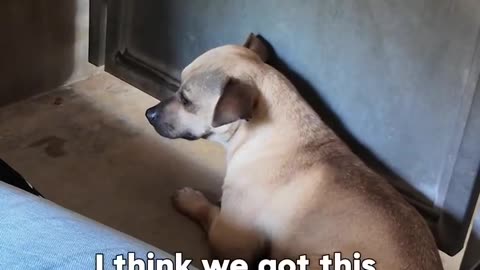 He was Hiding from Everyone