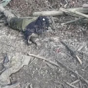 Ukraine war combat footage 8/12/25