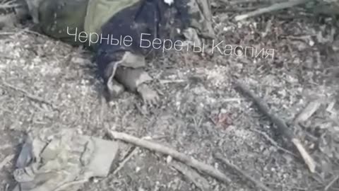 Ukraine war combat footage 8/12/25