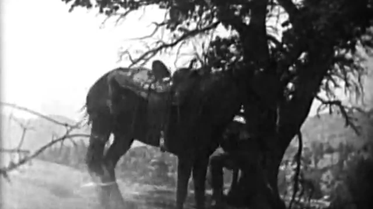 Branded a Bandit (1924)