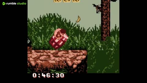 Donkey Kong GB: Dinky Kong & Dixie Kong