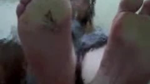 Barefoot Bug Crush Under Glass