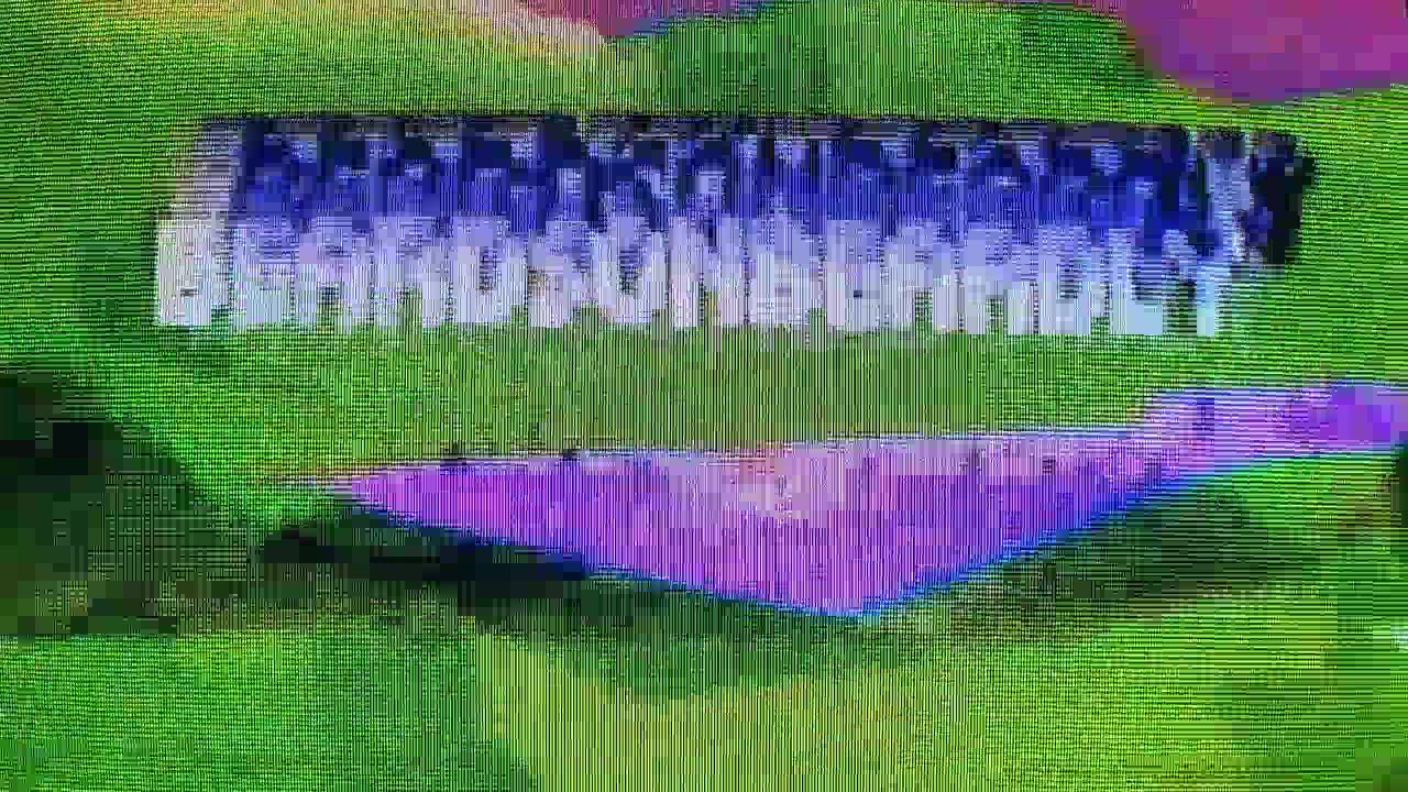 Bad News With Beardson #1