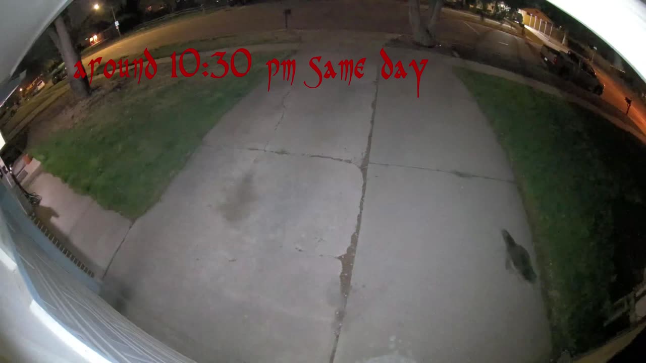 Typical Spring 2