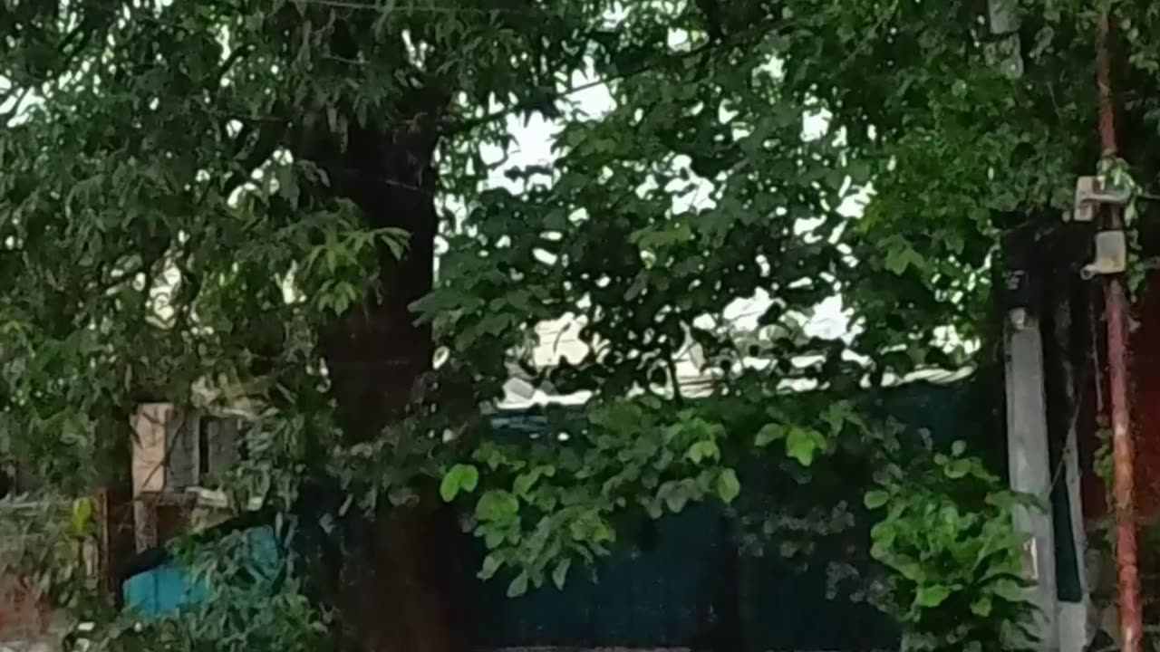 New Orleans Street in Quezon City in the Philippines