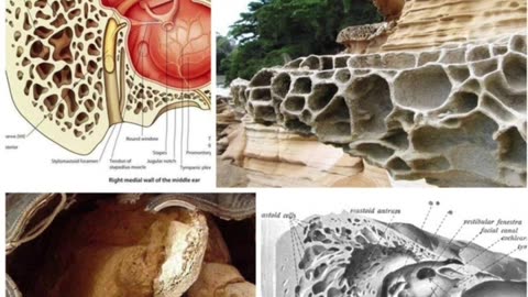 Our history is a lie!