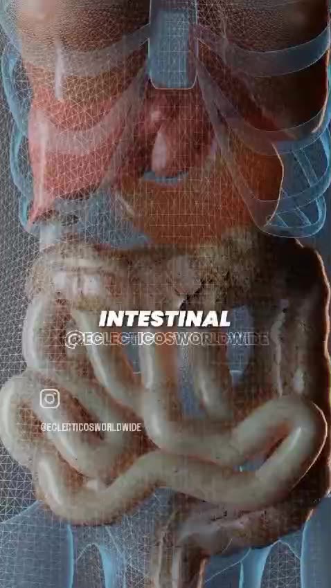 Agua de Mar - Como Purgarse - Limpieza