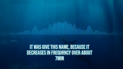 😱🌊 Mystery sound caught on underwater microphone. #ghostlytoksa #creepy