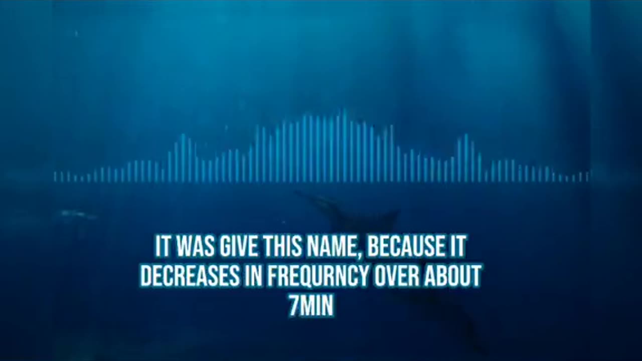 😱🌊 Mystery sound caught on underwater microphone. #ghostlytoksa #creepy