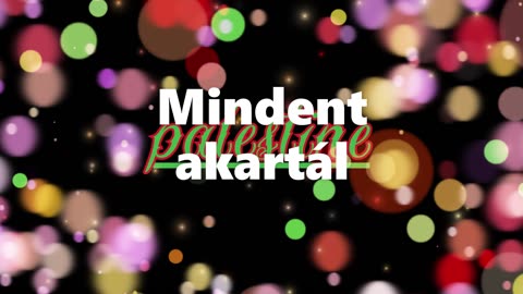 Palestine ¦ Mindent akartál (dalszöveges audió)