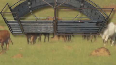 Superior Standard Crowding Tub