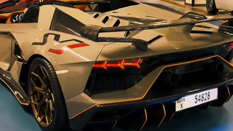 🚀💨 The Most EPIC Luxury Car Tour You'll Ever See in Dubai! | LuxurySportsCars