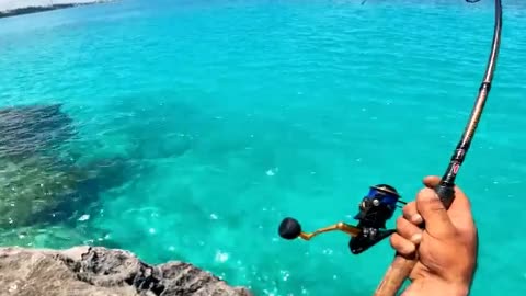 Ocean Fishing Gone Wild – You Won’t Believe What We Caught!