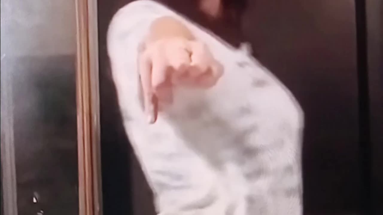 Gorgeous Asian tick tock dance