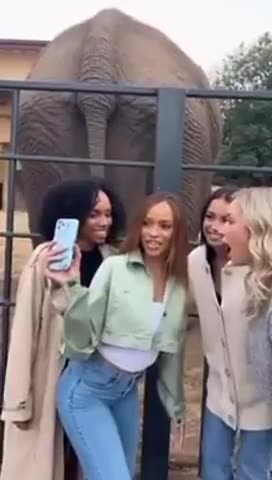 ZOO SELFIE 🐘 EPIC FAIL