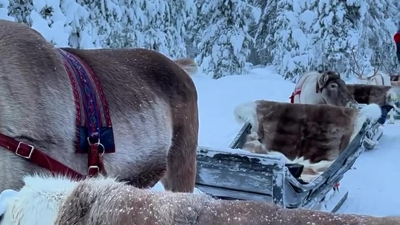 Lapland🇫🇴❄️☃️
