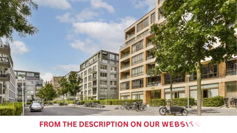 How Our Team Supports Your Property Investment