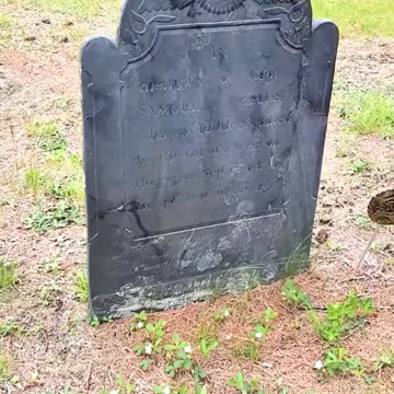 WHEN A TREE FALLS ONTO YOU & YOU STILL DON'T HEAR A SOUND