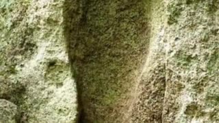 😱👣 Giant Footprint Discovered in Russia – What Could It Be? | TheTruthAbove