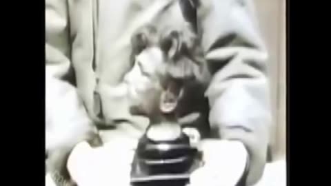 Holohoax Brief 12: USA psy-ops plants tattooed skin and shrunken heads ~ RJMI Lecture