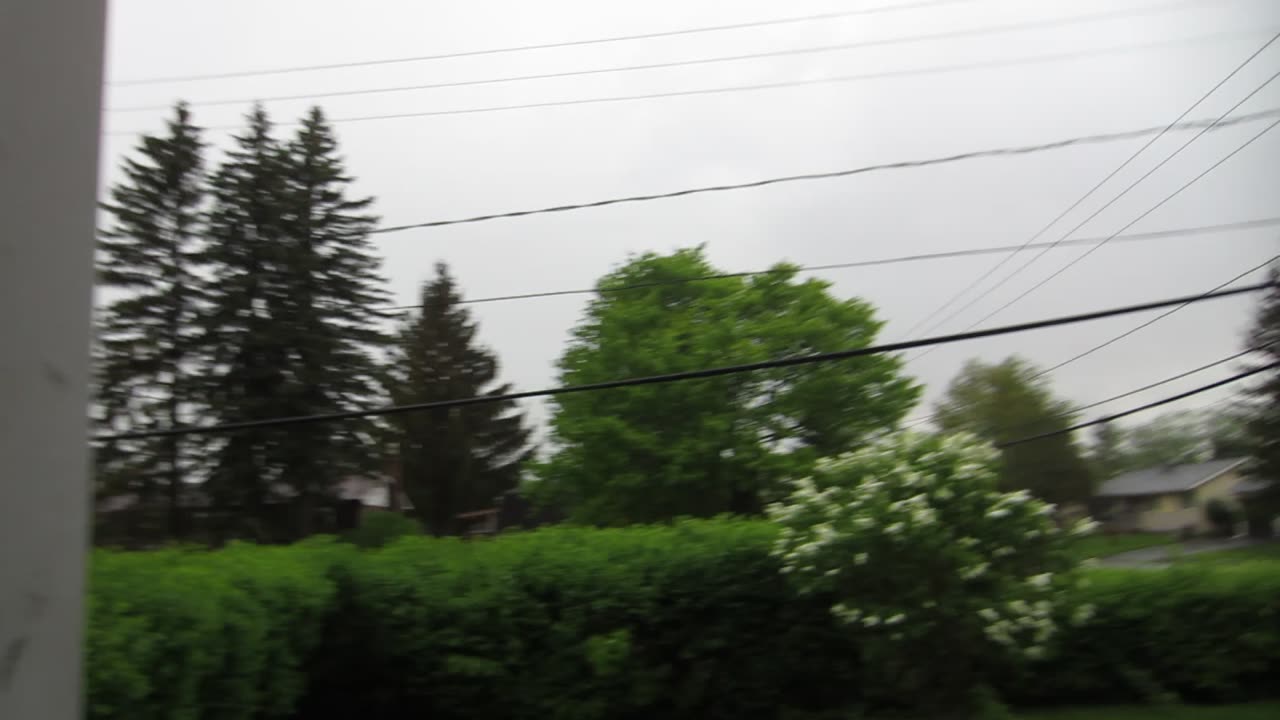 Stormy weather With my dog Mia