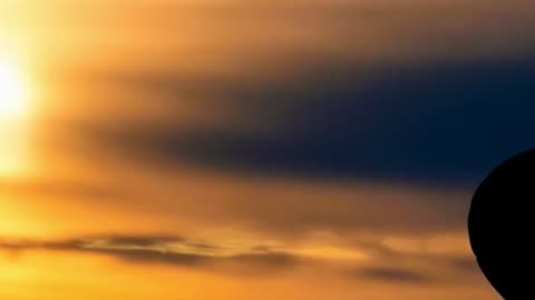 Let Go to Find Your Freedom!