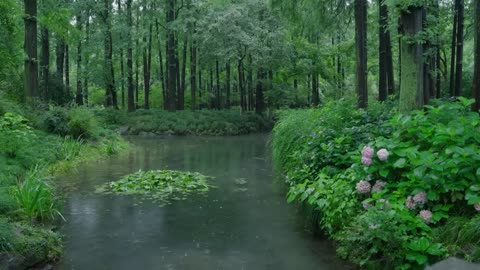 The beautiful little river is raining