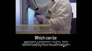 Ta szczur jest całkowicie zdrowy. Umieść go w kąpieli wodnej, a za każdym razem znajdzie drogę do bezpieczeństwa. Spójrz na niego.