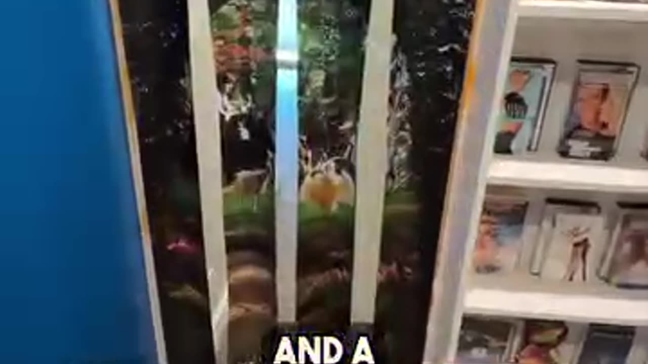 Secret Blockbuster Video IN A House