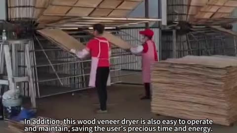 wood veneer dryer