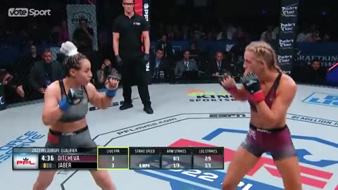 Rothschild BlackRock WEF Power...