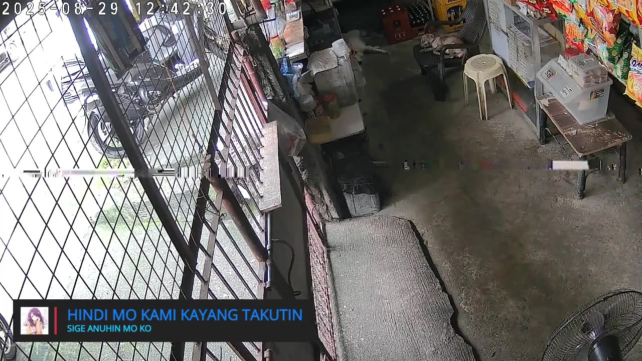 Mitsubishi Xpander 2019 Live