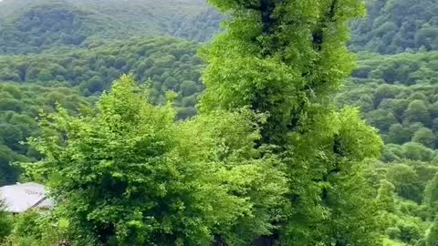 Nature of Noor-al-Arsh