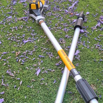 Unboxing Dewalt DCP620M1 20V MAX 8in. Brushless Cordless Battery Powered Pole Saw Kit