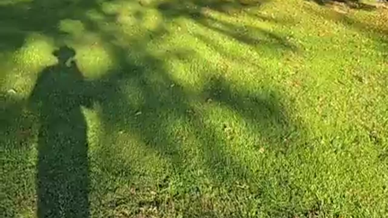 Catch #347 Mike 41 of Dalton Ohio confronted on his conversations with a 12 & 13yo decoy