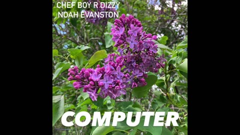 Chef Boy R Dizzy Noah Evanston d(O_o)b Computer