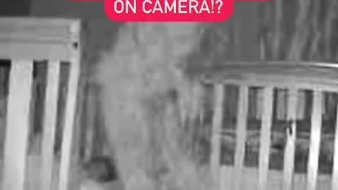👁️ Is This a Demon Caught on Camera?! 👻😱
