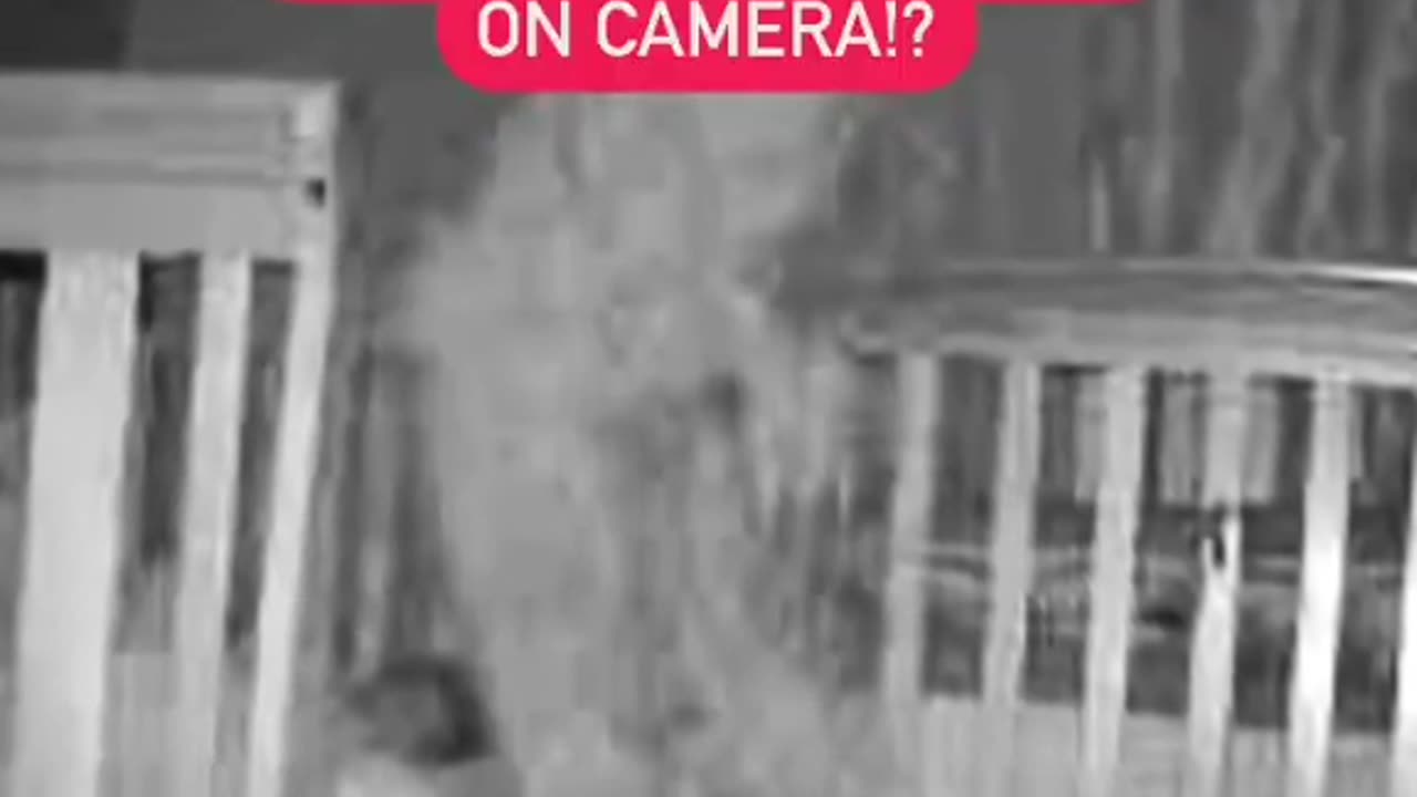 👁️ Is This a Demon Caught on Camera?! 👻😱