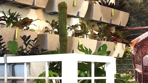 Sereno's Balcony Planters Turn Urban Corners into Botanical Retreats
