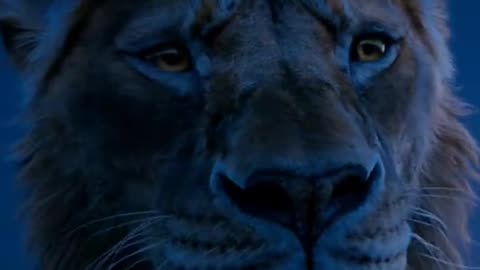 Mufasa 😍❤️ (Part - 41).....#reels #viralreels #reel #mufasa #animation #lastest #romantic #viralreel