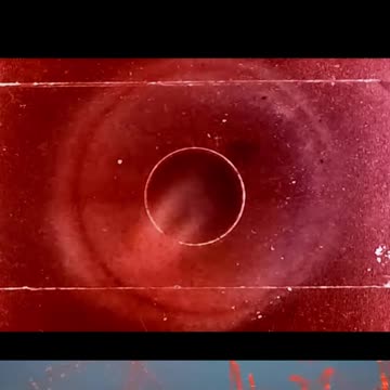 God Speaks His Language.