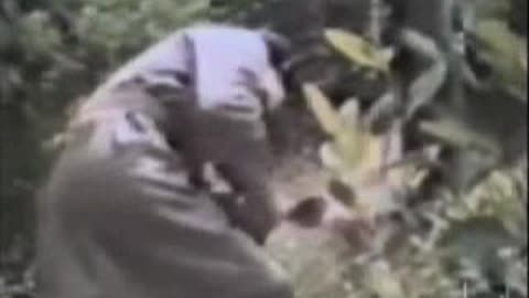 Commercial - Libby's Vegetables w Tony Randall