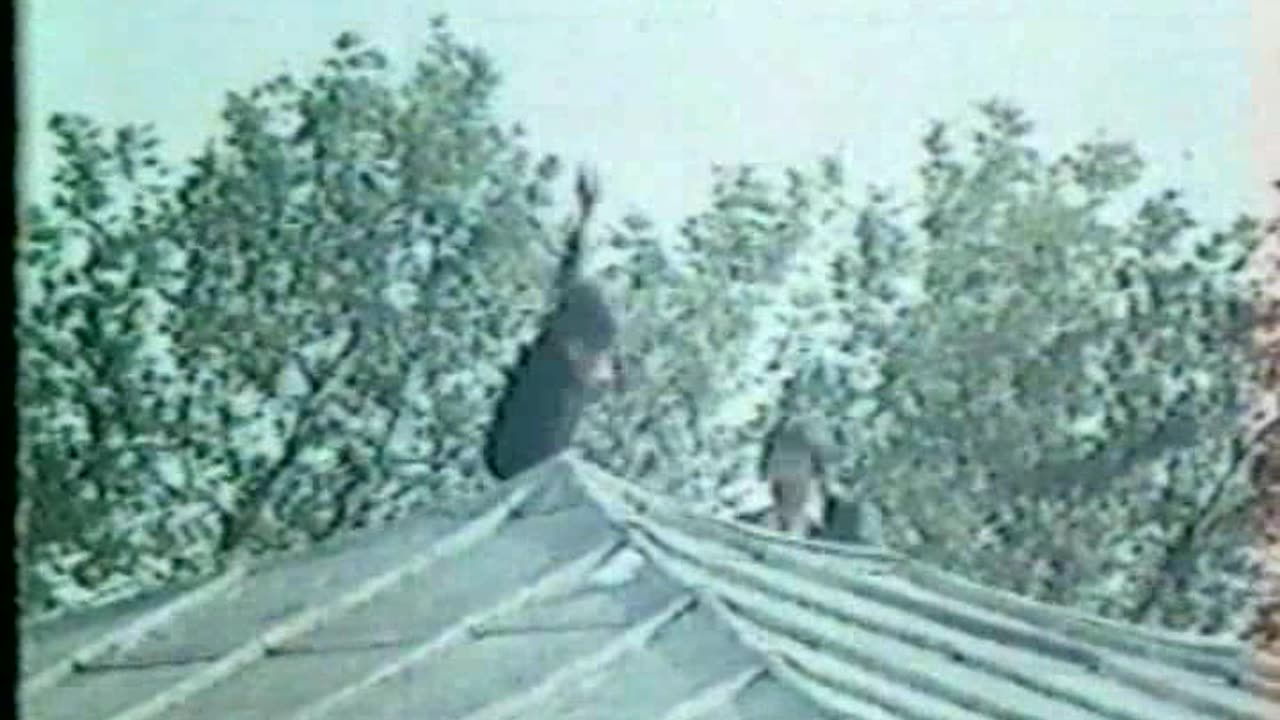 Karateciler Istanbulda