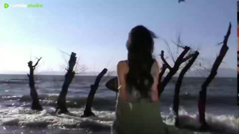 Hot Tiktok/Douyin Music Collection, Best Chinese Remix Songs