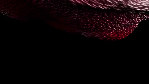 video wallpaper