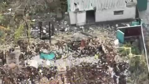 In the Pokrovsky direction, border guard pilots of the Phoenix unit stopped a column