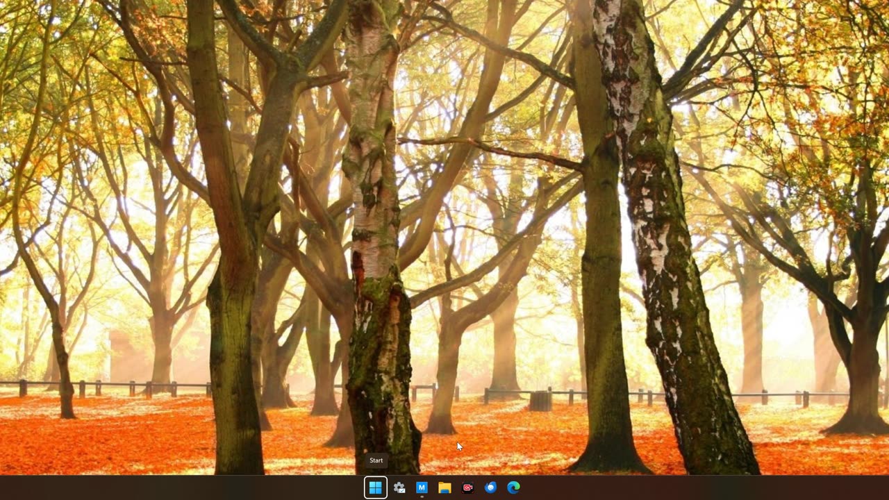 Nov 11, 2025 New Christian Person