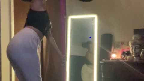 Diva Cat Pole-Dancing With Her Owner